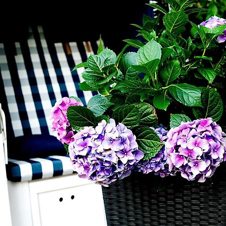 Hotel Albrechtshof Gohrisch ภายนอก รูปภาพ
